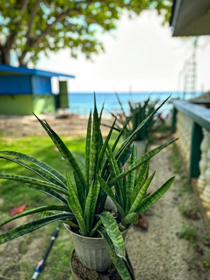 1Peace Beach Resort Anda  Dış mekan fotoğraf